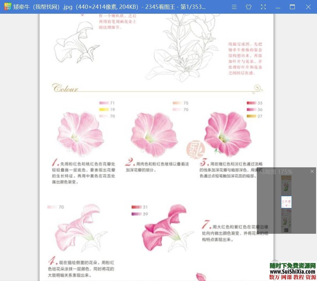 40G最強彩鉛零基礎(chǔ)入門到高手教學教程，包括大量電子書和繪畫視頻_趣資料視頻資源插圖7