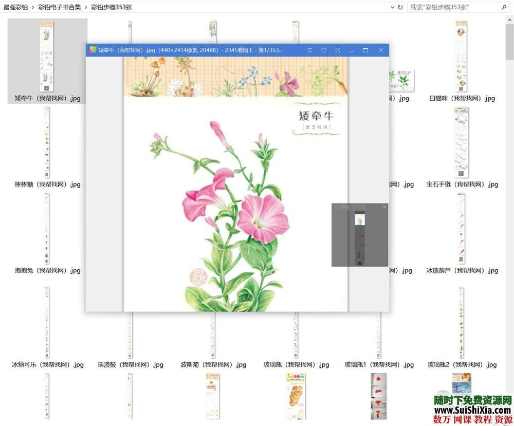 40G最強彩鉛零基礎(chǔ)入門到高手教學教程，包括大量電子書和繪畫視頻_趣資料視頻資源插圖6