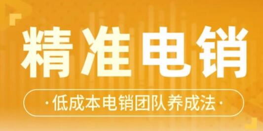 張搏《精準電銷》電話銷售技巧，低成本電銷團隊養(yǎng)成法_百度云網(wǎng)盤資源教程插圖