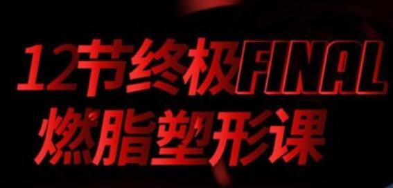 寧澤濤、張鈞甯、李晨健身教練黨寧遠：12節(jié)終極燃脂塑形課 百度云分享_百度云網(wǎng)盤教程視頻插圖