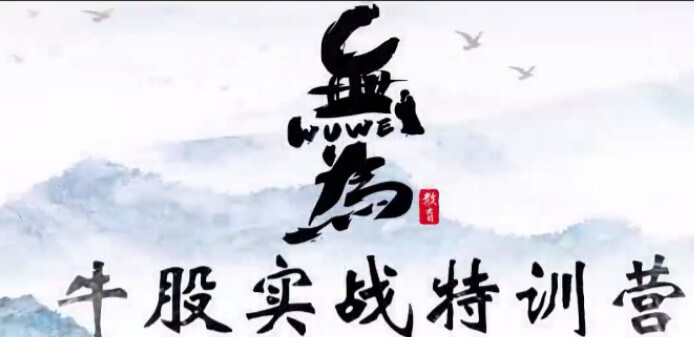 無為學(xué)院（李棟、傅剛）牛股實戰(zhàn)特訓(xùn)營18節(jié)_百度云網(wǎng)盤教程視頻插圖