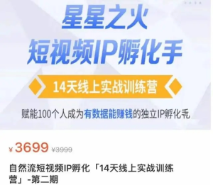 瑤瑤?自然流短視頻IP孵化第二期，成為有數(shù)據(jù)能賺錢的獨立IP孵化手百度網(wǎng)盤插圖