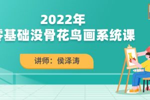 侯澤濤2022零基礎(chǔ)沒骨花鳥畫系統(tǒng)課百度網(wǎng)盤插圖