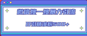 微信搜一搜引流全系列課程，日引精準(zhǔn)粉500+（8節(jié)課）百度網(wǎng)盤插圖