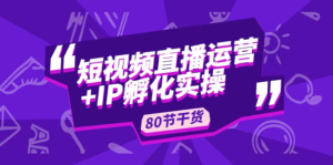 謙四?短視頻直播運營及IP孵化實操，80節(jié)干貨實操分享百度網(wǎng)盤插圖