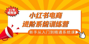 小紅書電商高階系統(tǒng)教程，新手從入門到精通系統(tǒng)課百度網(wǎng)盤插圖