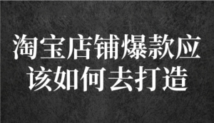 冠東?爆款店鋪淘系爆款選品方法，一個好選品思路決定是否盈利百度網(wǎng)盤插圖