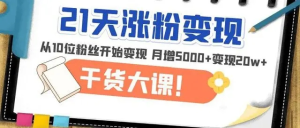 21天精準漲粉變現干貨大課：變現月增5000+變現20w+百度網盤插圖