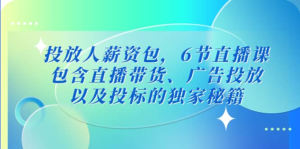 三里屯?投放人薪資包，6節(jié)直播課，直播帶貨、廣告投放獨(dú)家秘籍百度網(wǎng)盤插圖