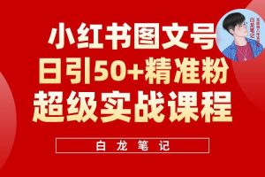 小紅書圖文號(hào)日引50+精準(zhǔn)流量，新手小白實(shí)戰(zhàn)的小紅書引流課百度網(wǎng)盤插圖