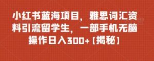 小紅書藍海項目雅思詞匯資料引流留學(xué)生，0門檻操作日入300百度網(wǎng)盤插圖