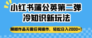 小紅書蒲公英冷知識新玩法，照搬作品賺錢副業(yè)百度網(wǎng)盤插圖