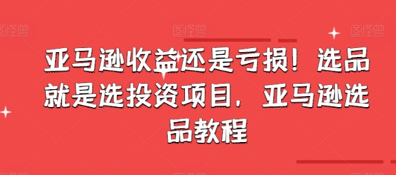 亞馬遜收益還是虧損！選品就是選投資項目，亞馬遜選品教程插圖