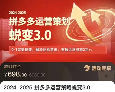 【電商上新】083.大力·2024-2025拼多多運(yùn)營策略蛻變3.0 0~1完美蛻變，解決信息焦慮