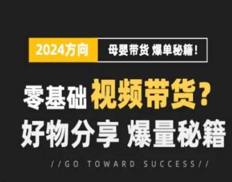 短視頻母嬰賽道實操流量訓練營，零基礎視頻帶貨，好物分享，爆量秘籍插圖