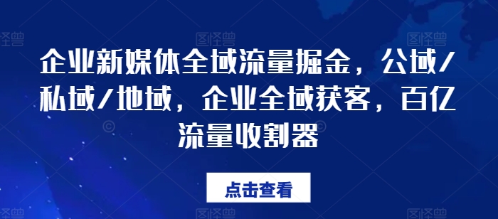 企業(yè)新媒體全域流量掘金，公域/私域/地域，企業(yè)全域獲客，百億流量收割器插圖