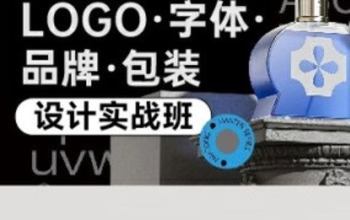 【設計上新】226. 盧帥logo字體品牌包裝設計實戰(zhàn)班第5期【畫質(zhì)不錯有大部分素材】