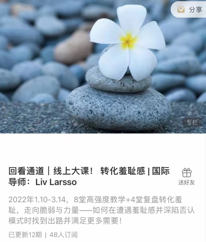 轉(zhuǎn)化羞恥感 _ 國際導(dǎo)師：Liv Larsso插圖