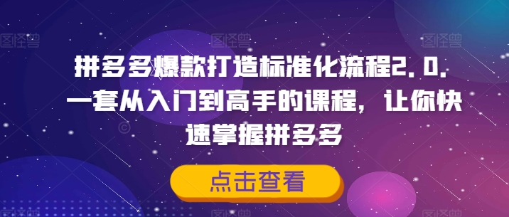 拼多多爆款打造標(biāo)準(zhǔn)化流程2.0，一套從入門到高手的課程，讓你快速掌握拼多多插圖