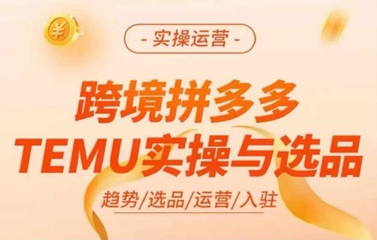 跨境拼多多TEMU實(shí)操與選品，多多temu跨境選品運(yùn)營實(shí)操插圖