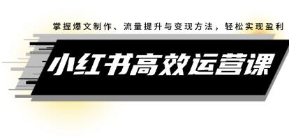 《小紅書高效運營課》掌握爆文制作、流量提升與變現(xiàn)方法，輕松實現(xiàn)盈利插圖