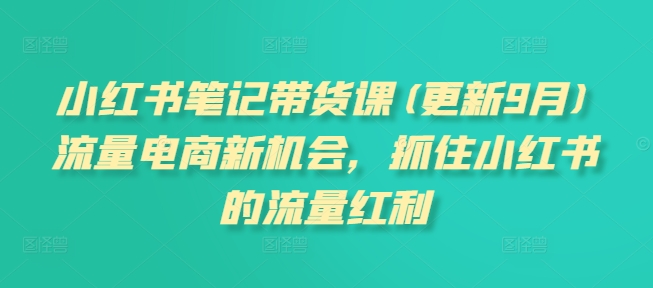 小紅書筆記帶貨課(更新9月)流量電商新機(jī)會，抓住小紅書的流量紅利插圖