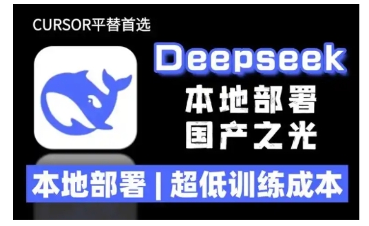 2025年deepseek R1 大型模型本地安裝部署(文件+教程)本地部署，超低訓(xùn)練成本插圖