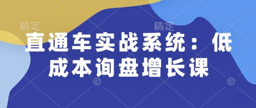 直通車實戰(zhàn)系統(tǒng)：低成本詢盤增長課